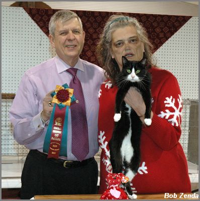 Chavis - Best HH Pet